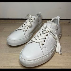 M. Gemi The Palestra Due